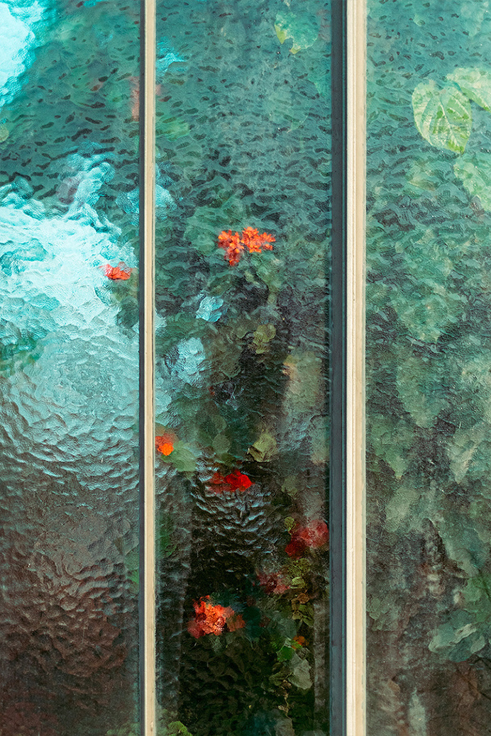 floral, botanical, abstract