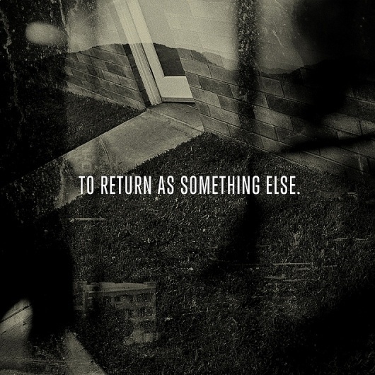 To Return As Something Else - Flickr Photo Sharing #white #black #photography #and #typography