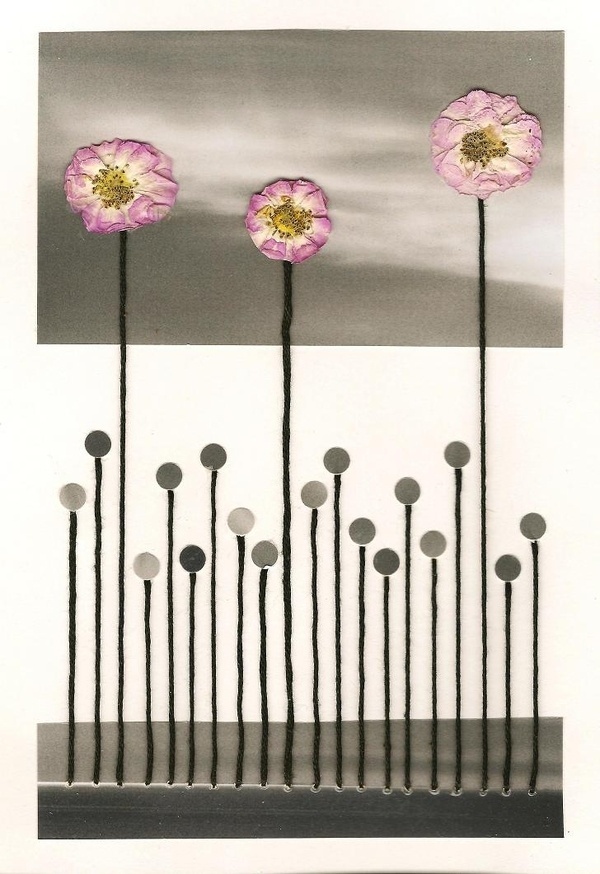 seaflowers2.jpg