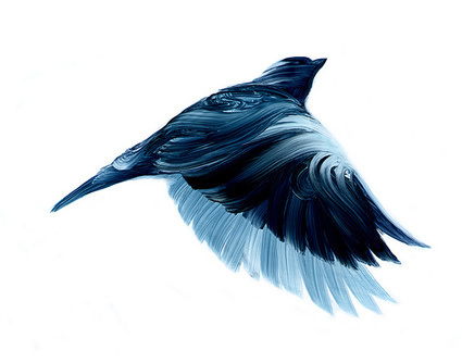 1 #s #illustration #adam #doyle