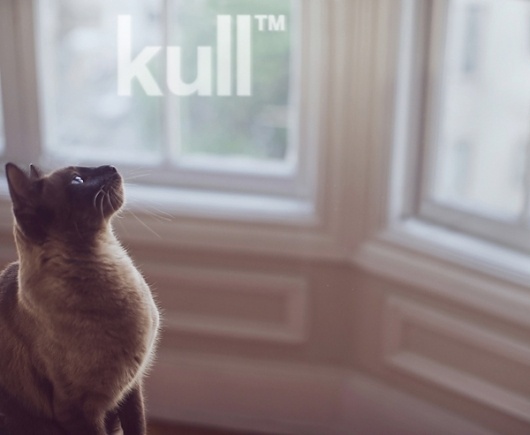 lukadolecki.com #concept #kull
