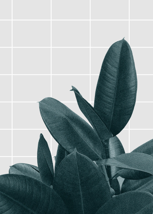 Foliage - Hanna Kastl-Lungberg