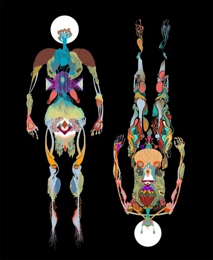 Delicious Dimension #illustration #anatomy