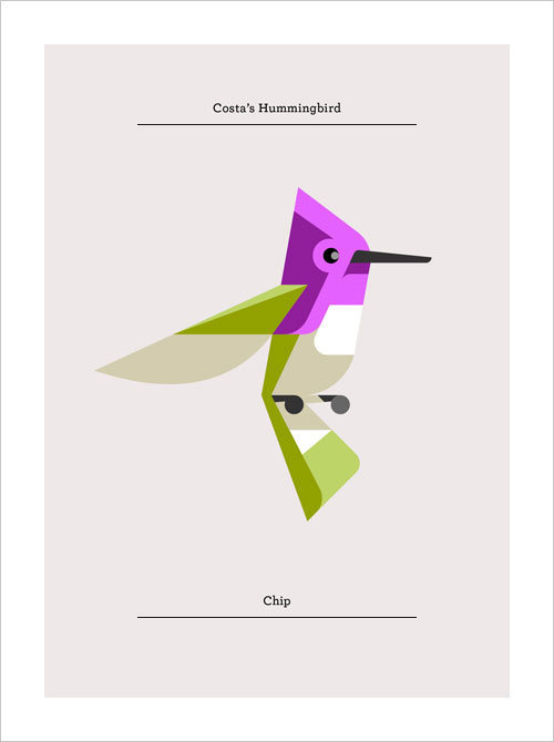 Lumadessa_Hummingbirds_01 #hummingbird