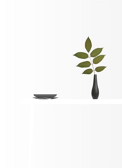 Black and White and Green #white #vase #leaf #spoon #black #flower #table #plates #green