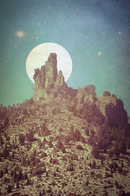 alkd;fjakds #spacce #photography #nature