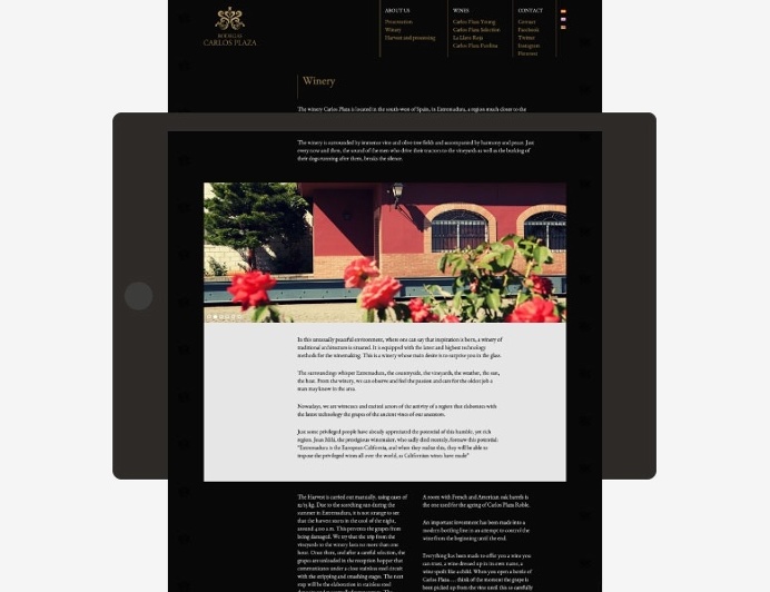 #webdesign winery