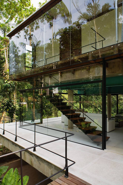 Rainforest House #architecture #rainforest house