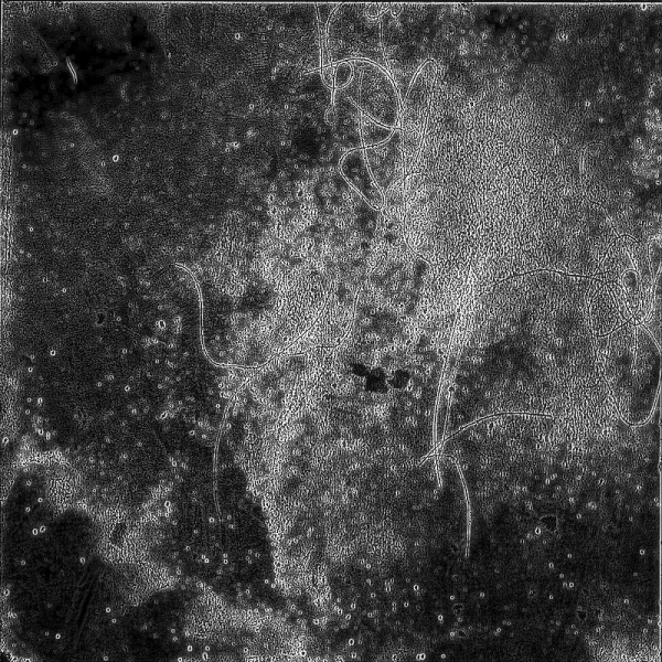 UTAN TITEL « DANIEL JOHANSSON #white #black #johansson #digital #art #and #daniel