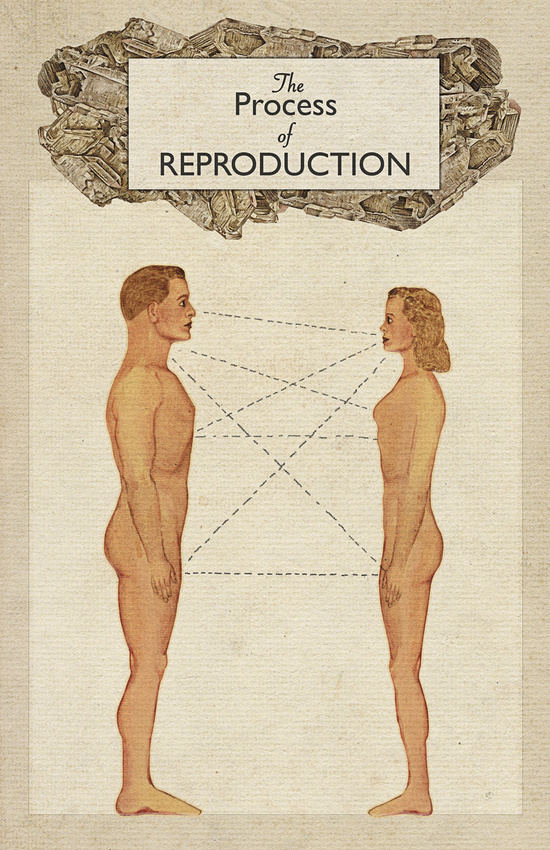 The Process of Reproduction I by Heather Landis