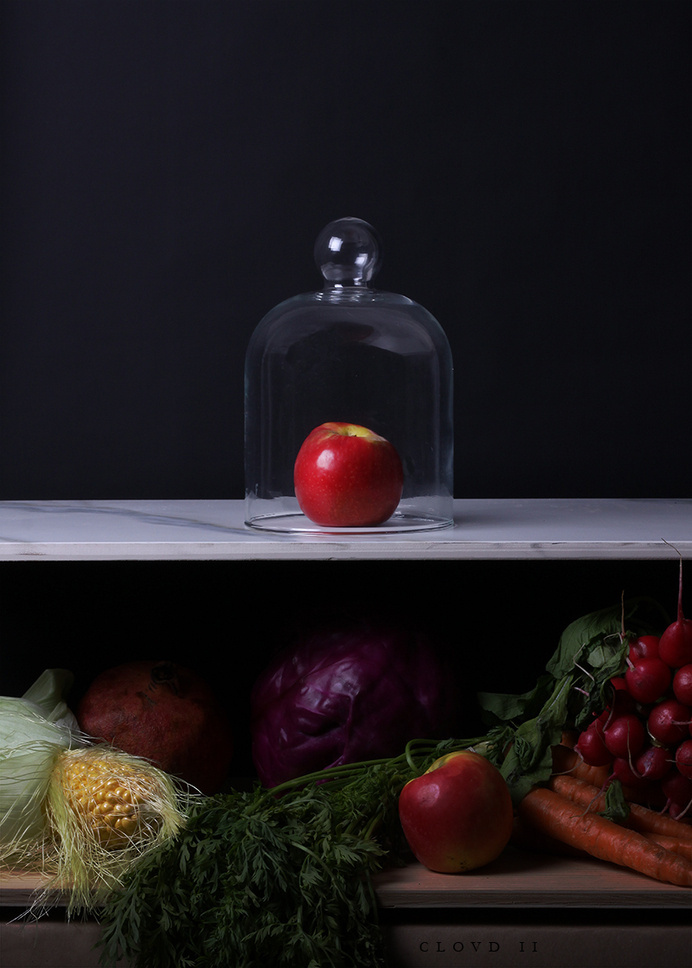 CLOVD II, from Time Capsule (2014) Artist: Isabel Sierra y Gómez de León http://isabelsierraygomezdeleon.com/post/91656261513/timecapsule #apple #fruit #composition #technology #photography #art #still #dome #shelf #life