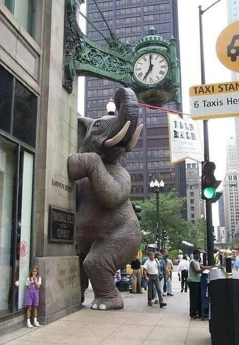Elephant sculpture / street art #sculpture #art #street