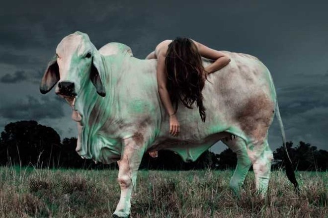 Beefcakes by Allyson Anne Lamb #inspiration #photography #art