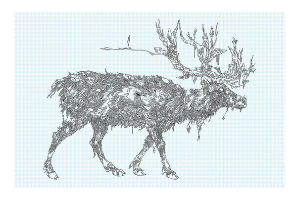 Caribou drawing from 2010 #illustration #caribou