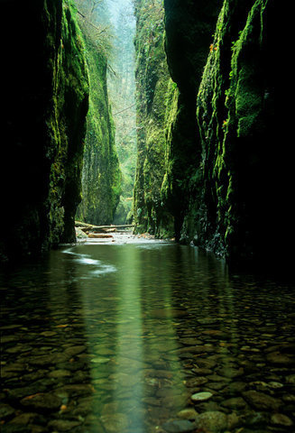 scotch & jazz @ dusk #green #water #nature #river #creek
