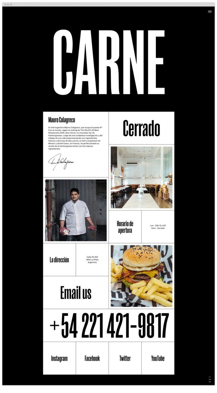 #591 carne hamburguesas