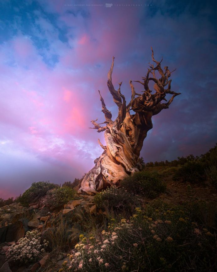 Long Exposure Landscape Photography by Troy-Anthony Saunders