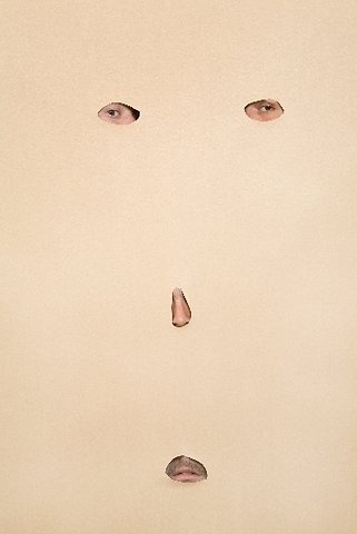 FFFFOUND! | anne_de_vries_cardboardface.jpg (JPEG 画像, 340x509 px) #face #torn #cardboard