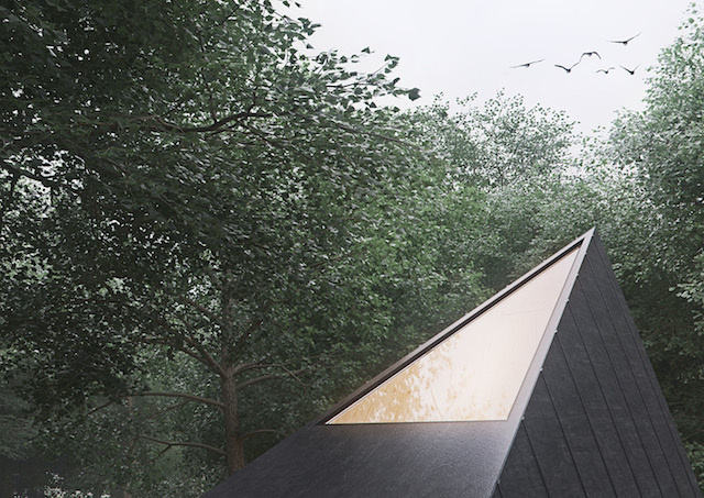 forest, cabin