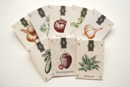 Tumblr #packets #seed #ilustracion