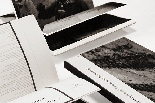 EileenBaumgartner_Vanishing_02.jpg #books #editorial #type #cover #demo