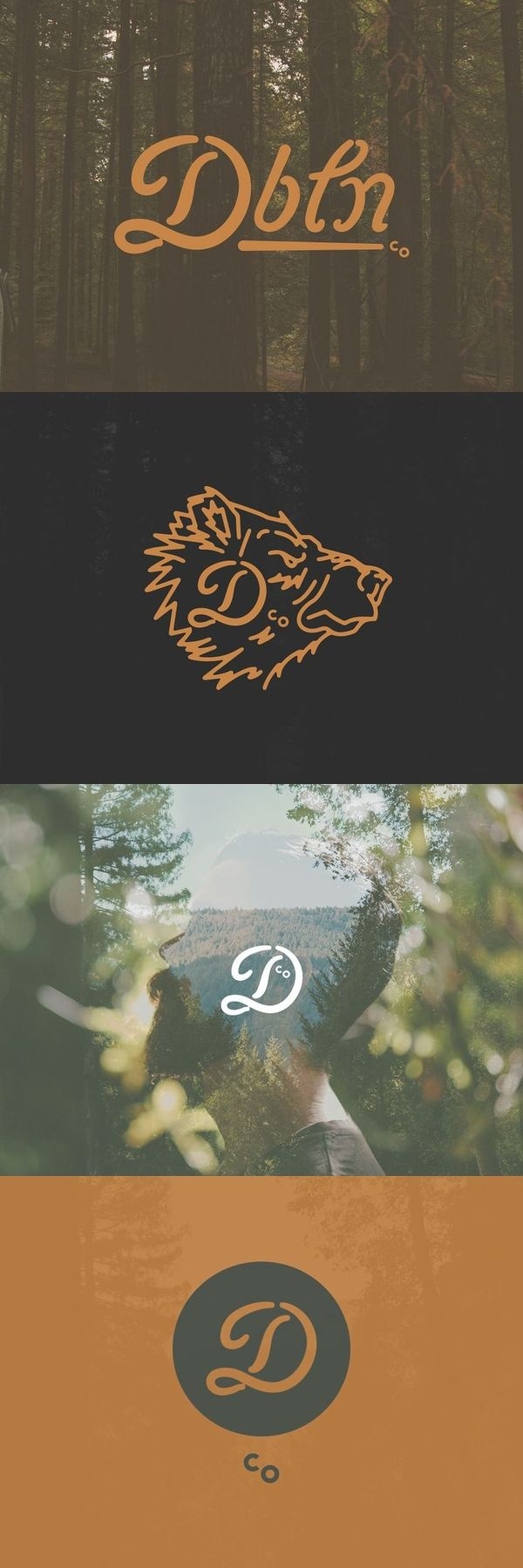 Dbln Co. by Danny Jones #logo #system #identity
