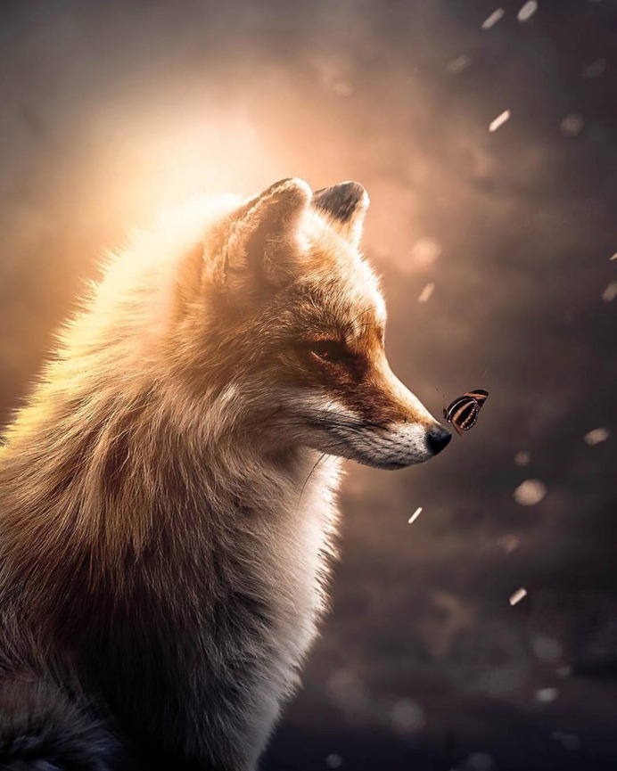 Dreamlike Photo Manipulations by Zenja Gammer