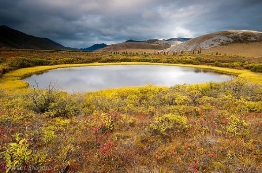 Landscape Photography by Marc Shandro » Creative Photography Blog #inspiration #photography #landscape