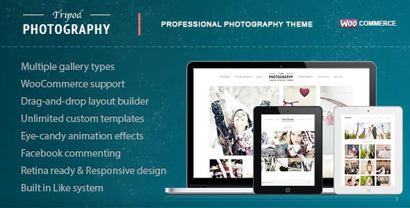 Photography WordPress Themes