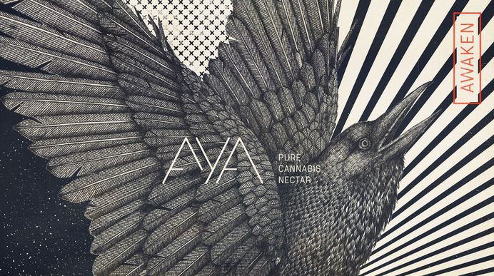 aya-5