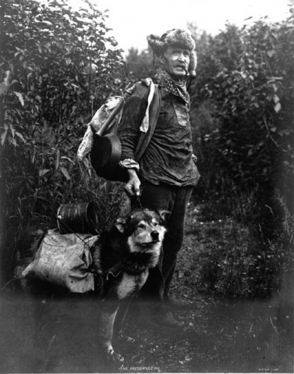 Lost in America #man #dog
