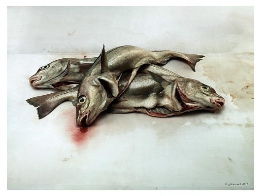 Collate #photo #fish