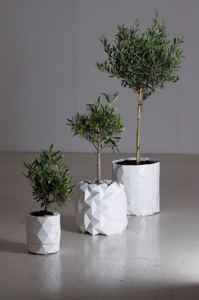 origami-pot that grows with the plant