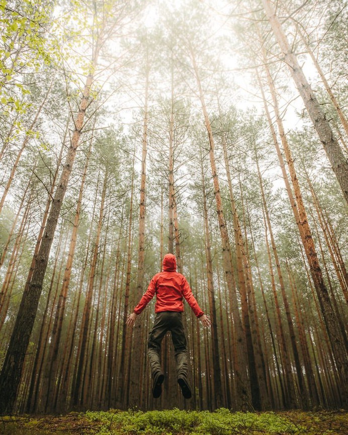 Breathtaking Forest Photography by Jakub Wencek
