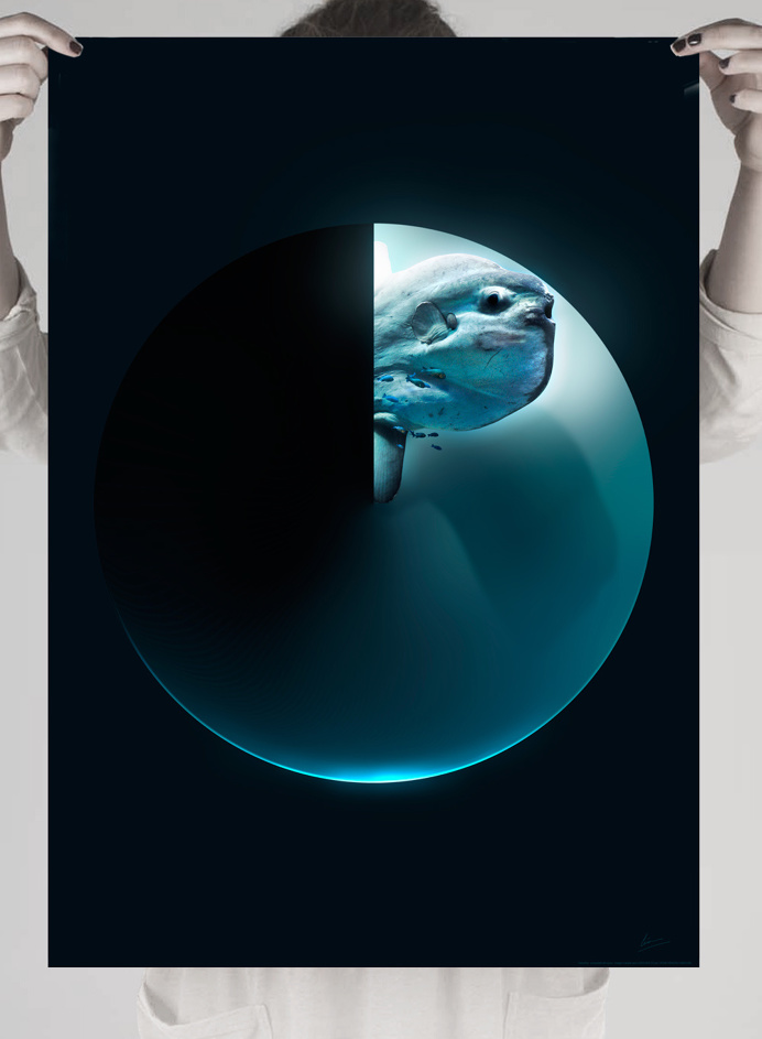 #moon #moonfish #sea