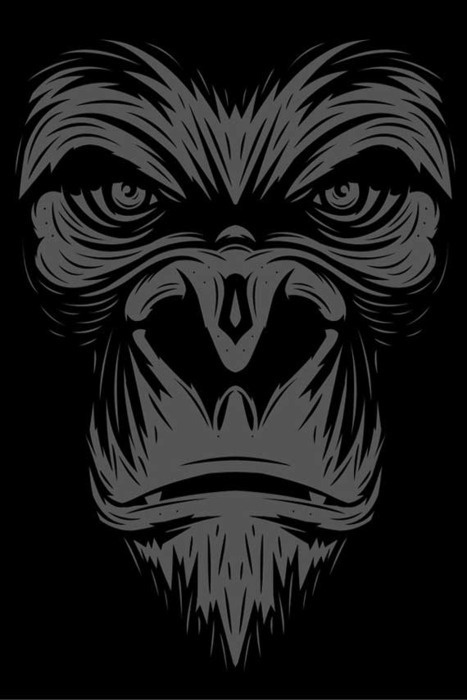 supersonic electronic / art #gorrila #ape
