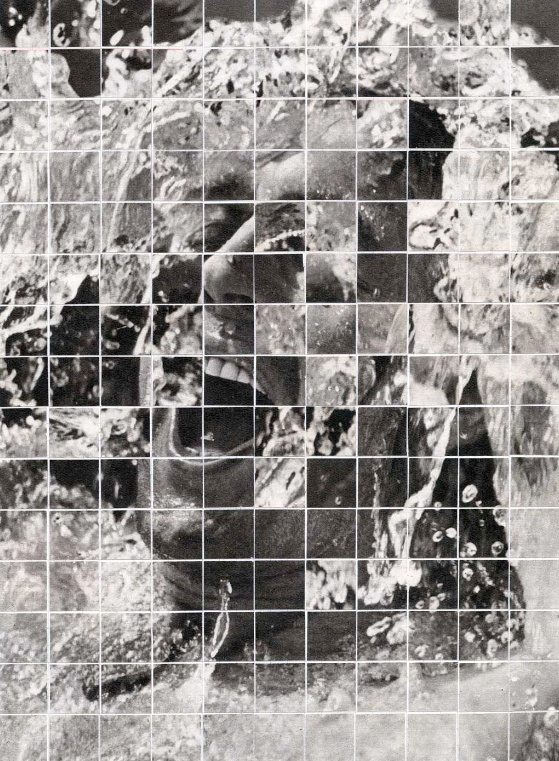 Anthony Gerace | PICDIT