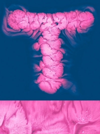 Micro type #letter #fluid #typography