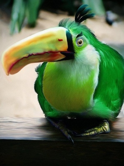 Real Angry Bird | Cuded #angry #real #bird