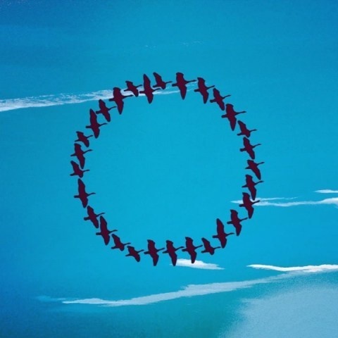 Shaun Kardinal | PICDIT #photo #photography #blue #collage