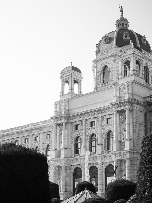 CJWHO ™ (Museum of Art History, Vienna by Christoph...) #history #white #museum #of #design #vienna #black #architecture #art #and