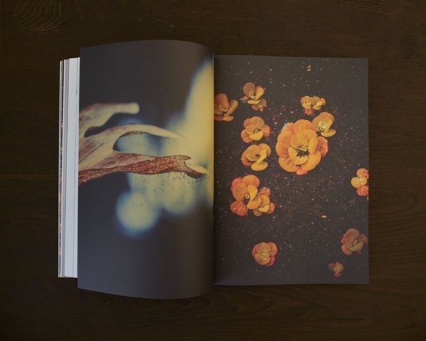NEVERTHELESS 04 on the Behance Network #photography #magazine