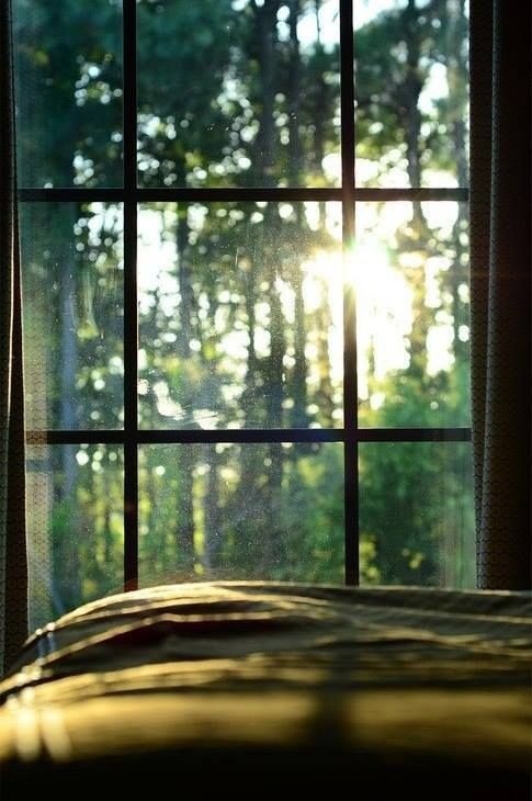 window