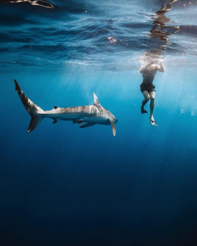 Stunning Underwater and Ocean Photography by Benjamin T. Ono