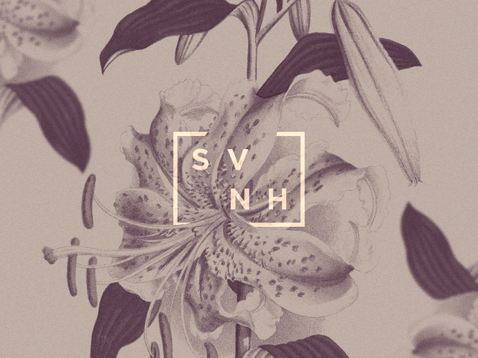 Soap Product Branding by Luis Alvarez