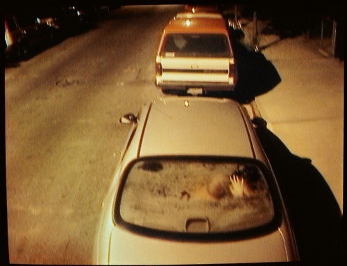 W E L L ※ F E D #car #sex