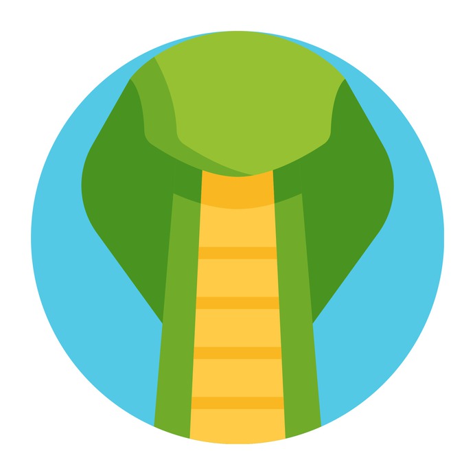 See more icon inspiration related to snake, cobra, wild life, animal kingdom, wildlife, reptile, pet, zoo and animals on Flaticon.