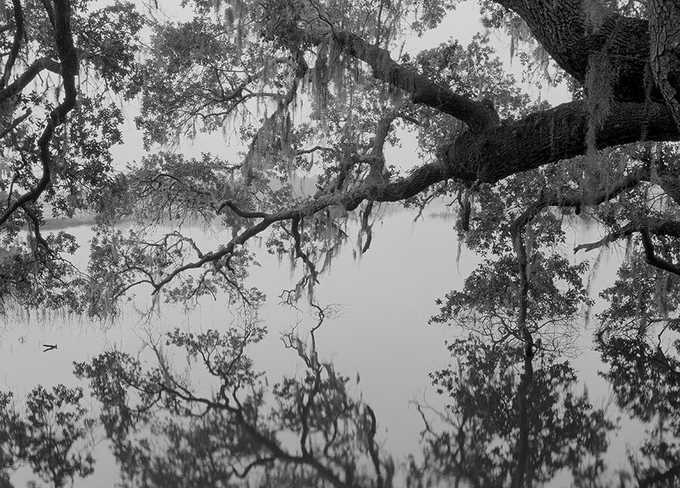 Black and White Photography by Jack Leigh #inspiration #white #black #photography #and