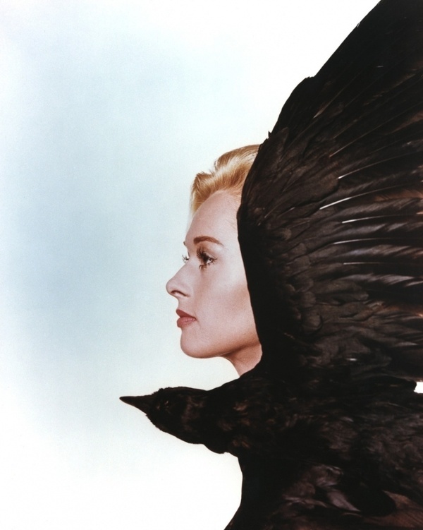 il cerchio verde #hedren #the #birds #hitchcock #film #tippi #movies
