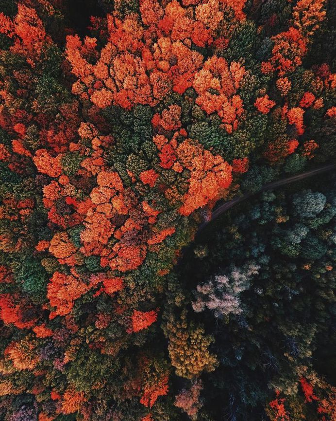 Rural Ukraine From Above: Drone Photography by Nazarii Doroshkevych